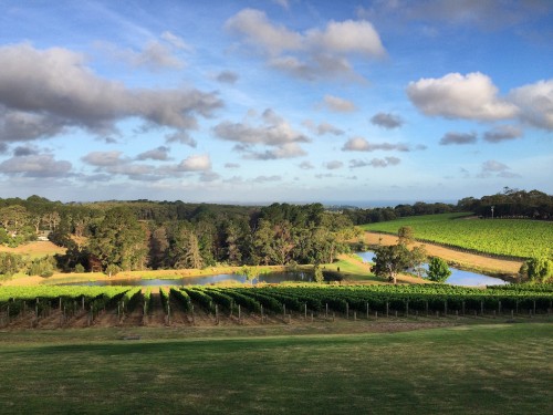 Port Phillip Estate Winery, Friday's Favourites Gallerie B blog