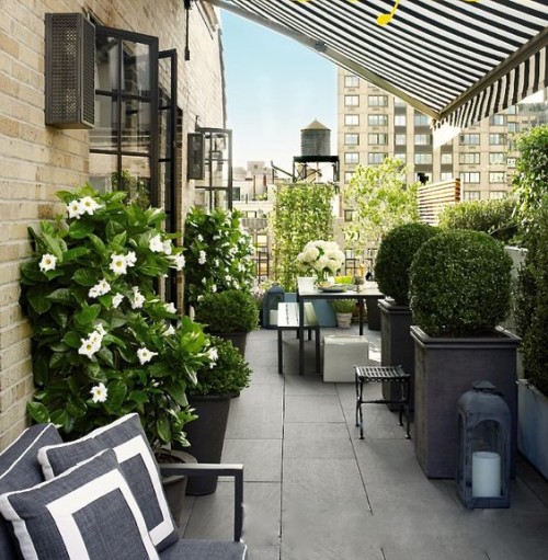 Black, white and green in this Manhattan terrace. Friday's Favourites, Gallerie B blog.